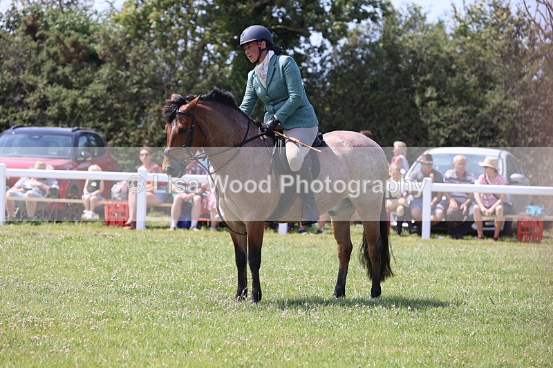 JPP_3351 - Class 22: Working Hunter 70cm