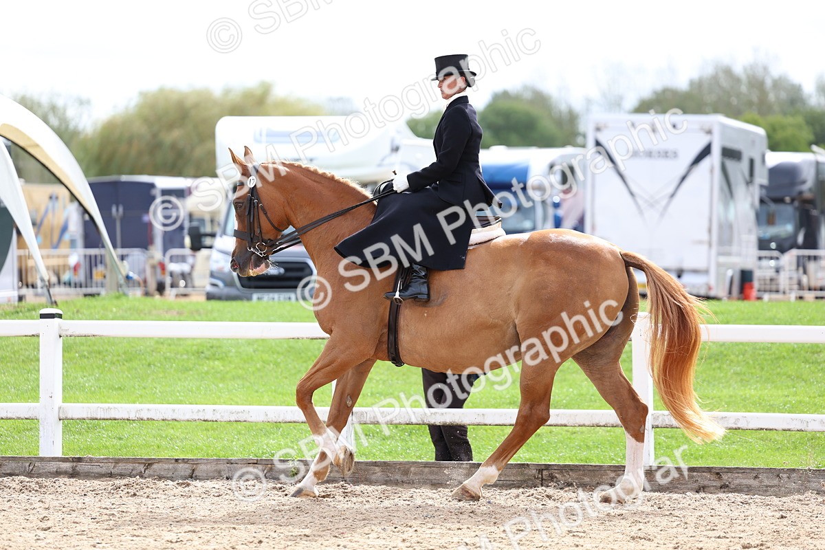 SBM_03449 - Class 24 - SSA Concours d'elegance (any age)