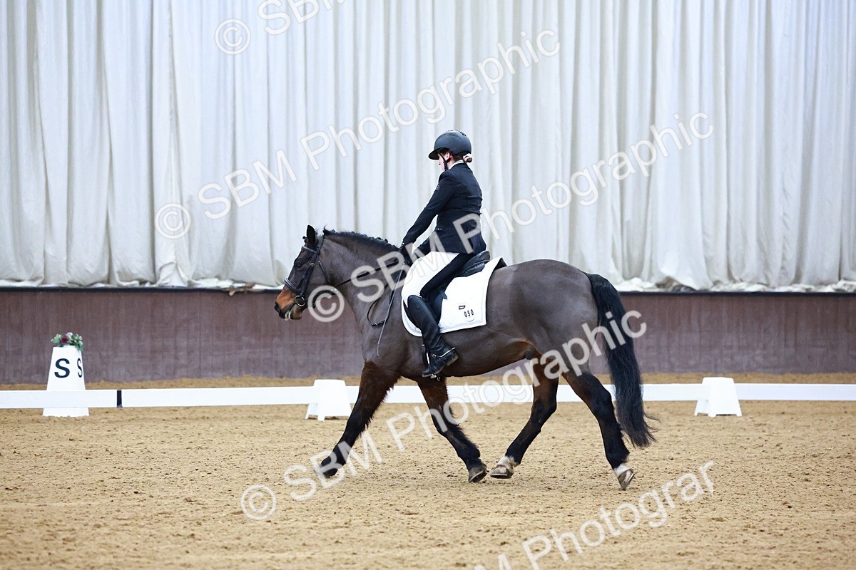 SBM_001613 - Novice Music