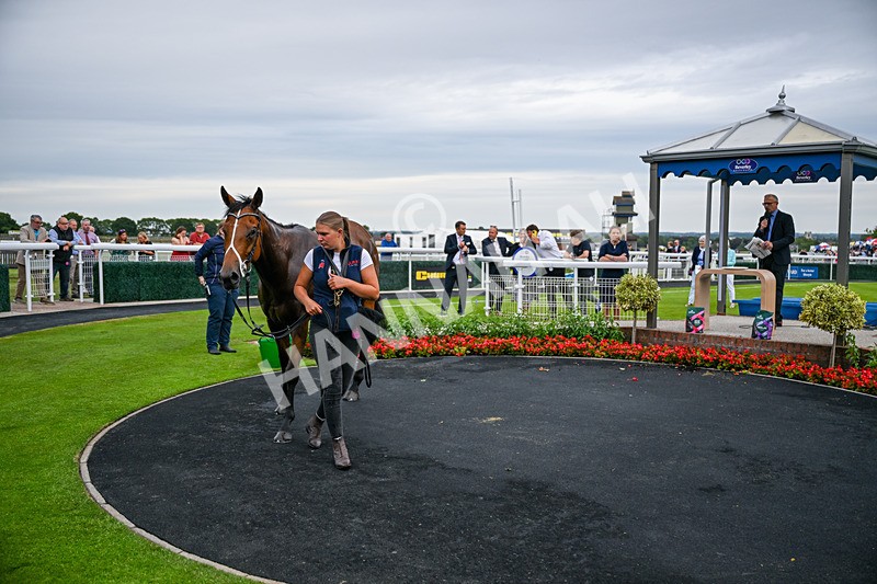030726-Race 4-Midnight Strike-2411 - Race 4 19.35pm Westwood Selling Stakes