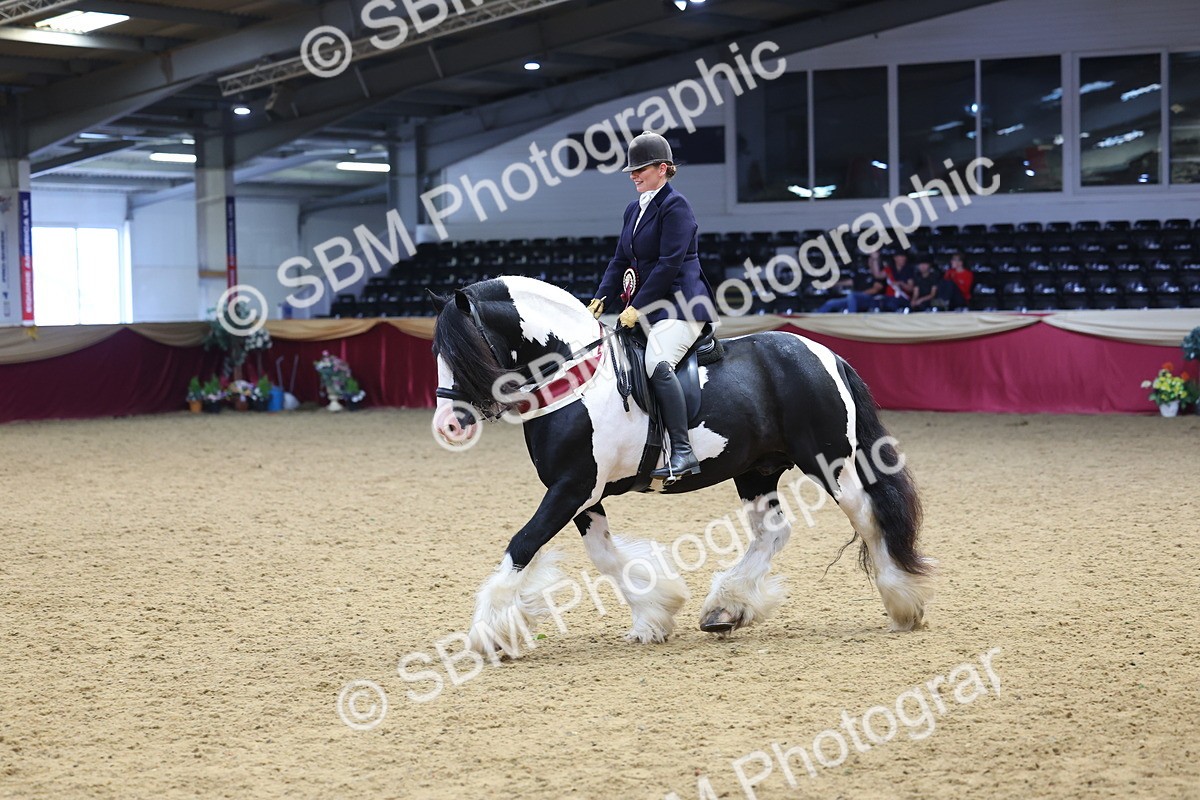SBM_24233 - Class 905 - Supreme Final - Ridden Veteran