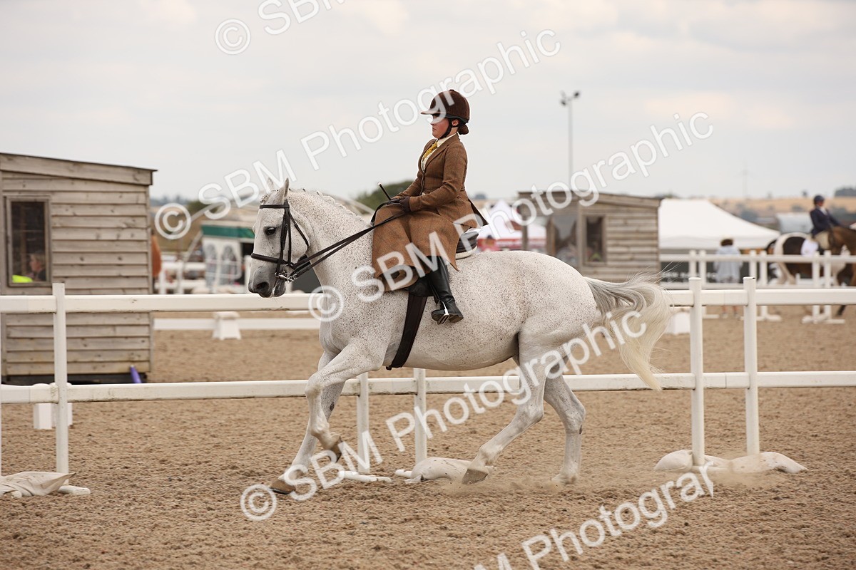 SBM_05369 - Class 22 SSA Equitation
