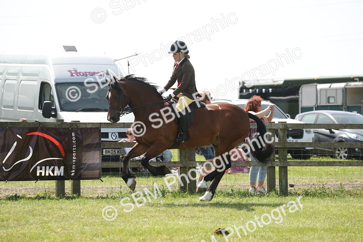 SBM_07706 - Class 26-30 - Mountain and Moorland Ridden
