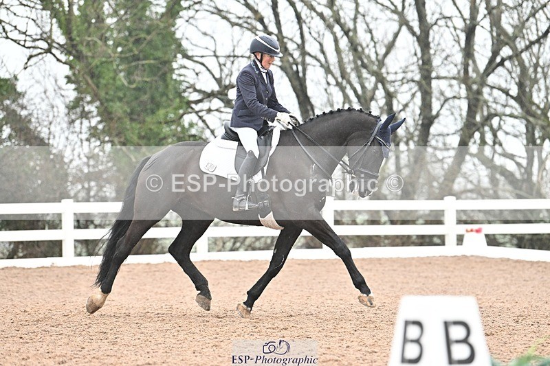 250215-120846-03332 - 228-Louise.Hutchinson-Shovern.Noire