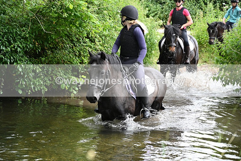 WJ7_2213 - Camera 2 Water Crossing