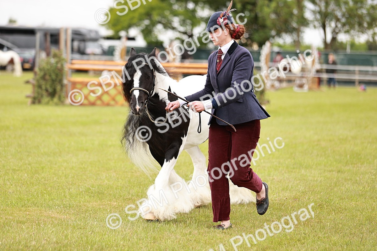 SBM_05994 - Class 39-41 TGCA In Hand and Ridden