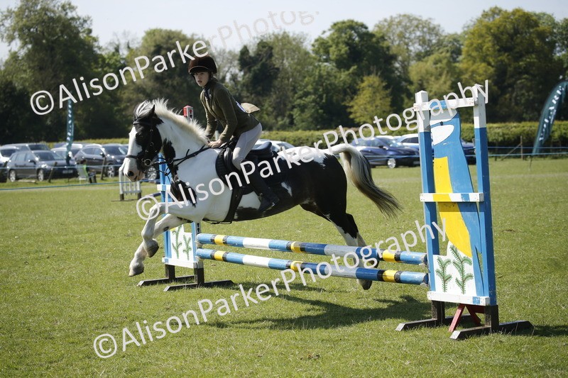 20250427-2204 - Class 13 - Novice Jumping 60cm