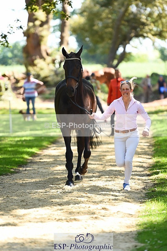 230524-150452-00051 - 355-JASON_KING-Izzy_Taylor-WEDTrotUp+DR