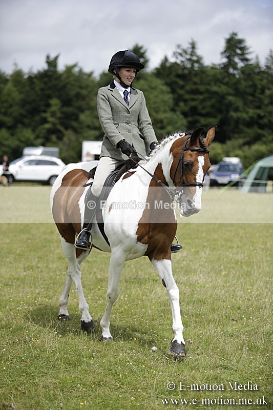 BVR160717-1911 - Ring 1 BVRC Show 16/07/17