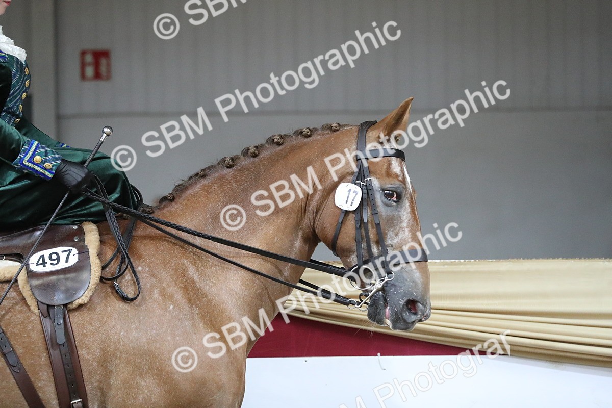 SBM_11513 - Class 105 Ridden Costume- Side Saddle
