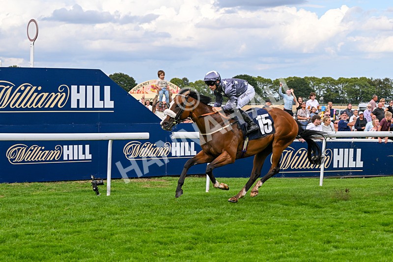 300826-Race 5-Harb-1130 - Race 5 3.55pm Constant Security Handicap