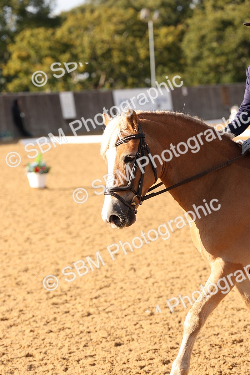 SBM_28212 - D20 - Grand Tour Championship Elementary 3