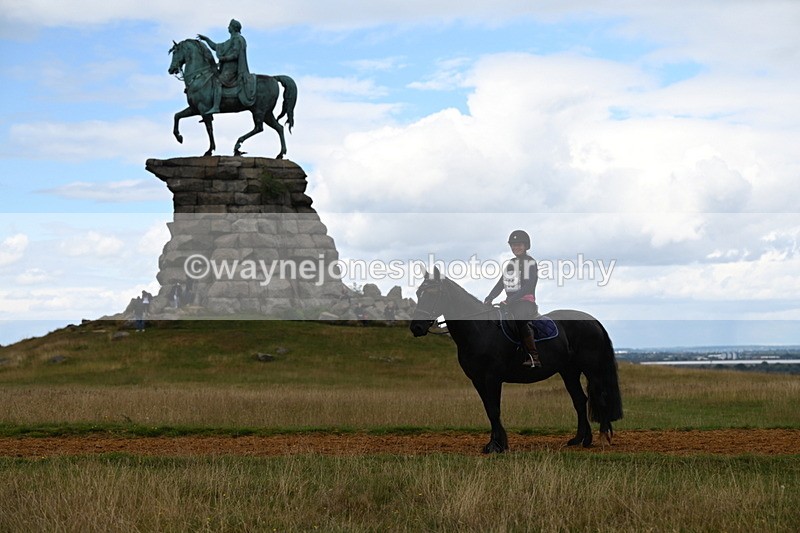 DSC_9593 - Time at Statue 15:11 to 15:58
