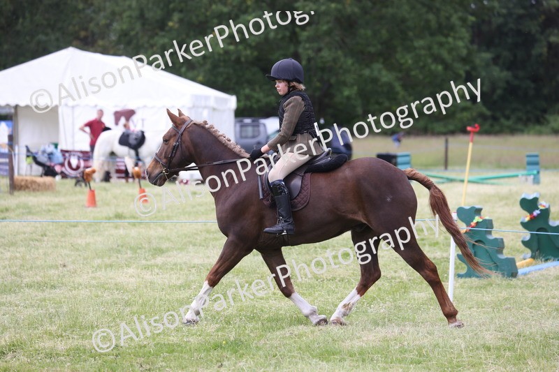 20260614-2755 - Class 22 - Open Working Hunter