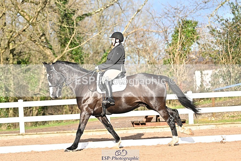 241214-125319-01751 - 119-Rosey.Bradburn-High.Spirits.II