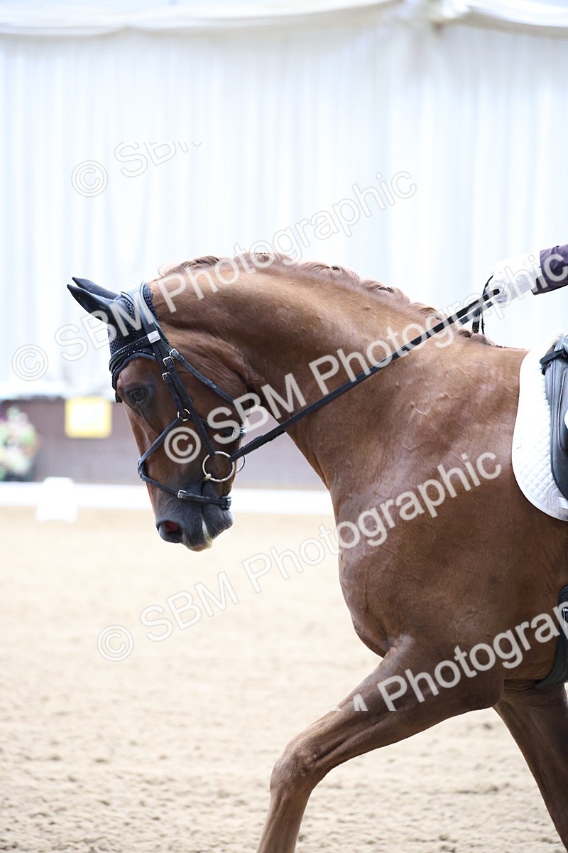 SBM_002820 - Class 5 - Novice 6 Gold - 10.24-11.30