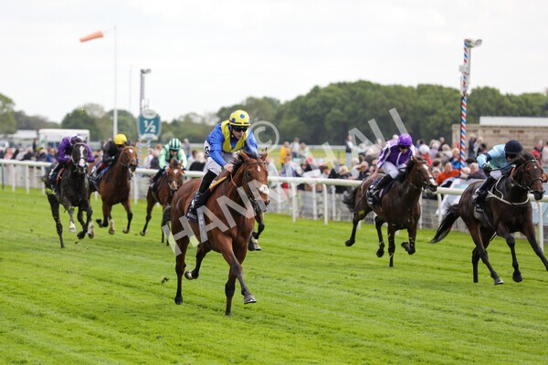 yr12052022r4-43 - Race 4 3.35pm Al Basti Equiworld Dubai Dante Stakes