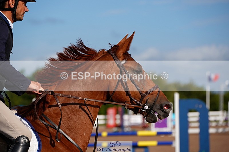 240803A-083730-06357 - Cls 34 British Novice and 90cm Open