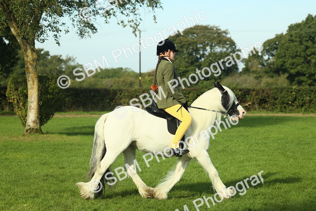 SBM_59842 - S38 - Starters Ridden Showing