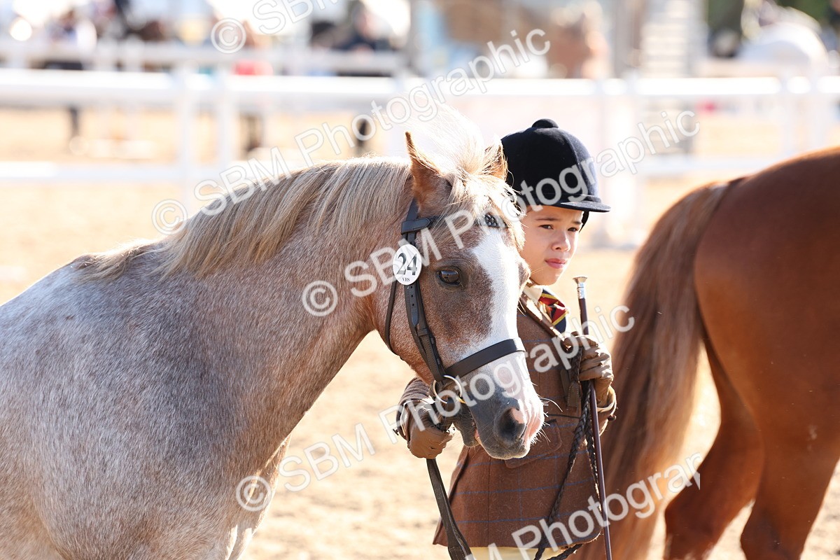 SBM_11674 - Class 203 - Young Handler 11 to 16 years