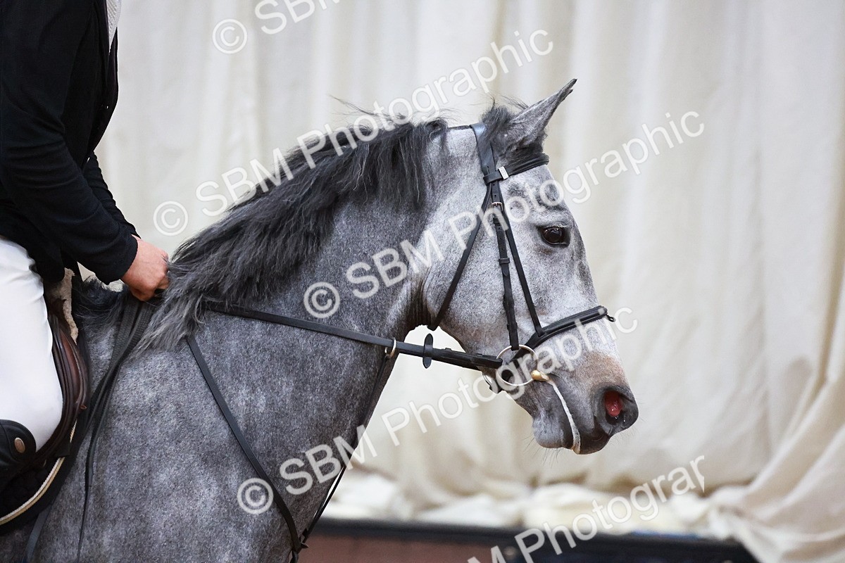 SBM_001965 - Class 5 - Senior Foxhunter 1.20m