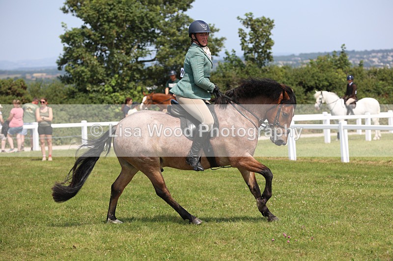 JPP_3252 - Class 22: Working Hunter 70cm