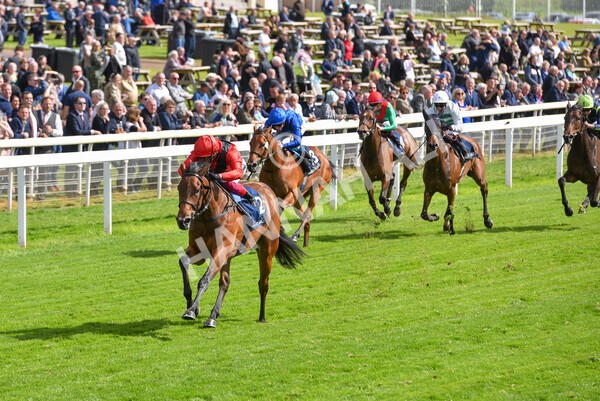 yr11052022r4-34 - Race 4 3.35pm Tattersalls Musidora Stakes