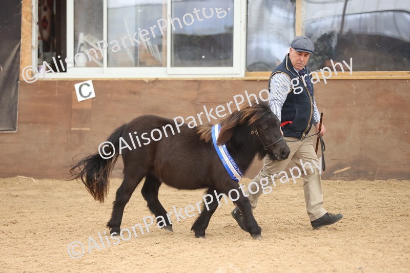 20251109-0143 - Championship