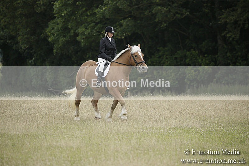 B230619-0005 - Bourne Valley Riding Club Summer Show 23/06/19