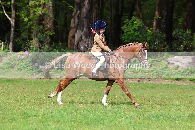 3E7A2709 - Working Hunter Championship