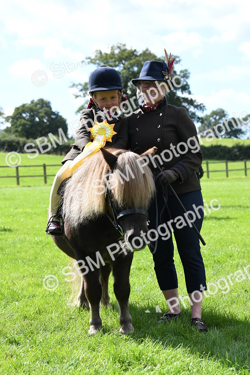 SBM_42649 - S20 - Lead Rein Mountain & Moorland Pony