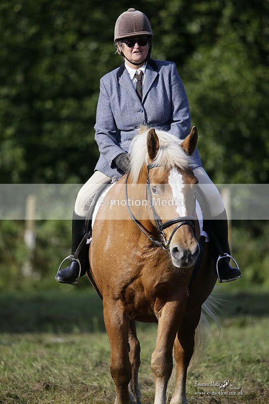 BVRC 120921 100 - Bourne Valley Riding Club UA Dressage & Show Jumping 12/09/21