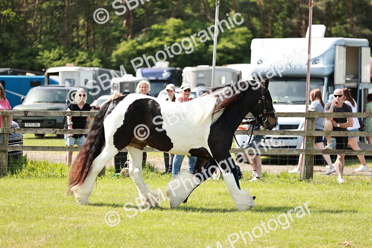 SBM_04123 - Class 39-40 - BSPA Coloured In Hand