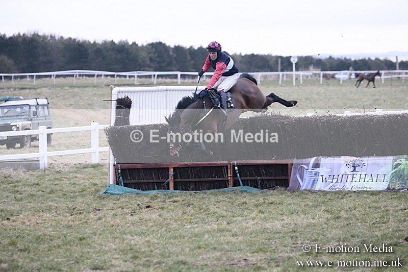 PtP 180218 896 - Combined Services Point-to-Point Larkhill 18/02/18
