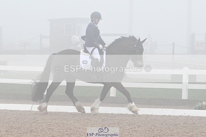 240217A-125406-02713 - 251-Alison.Crimp-Crwys.Beau