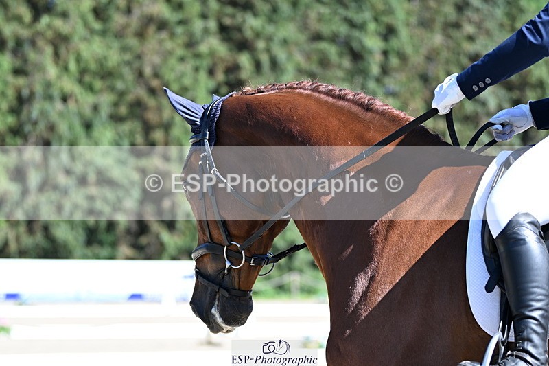 250522A-161814-04901 - C-231-Alannah.Dunstan-JUMPING.STAR.J.W.B