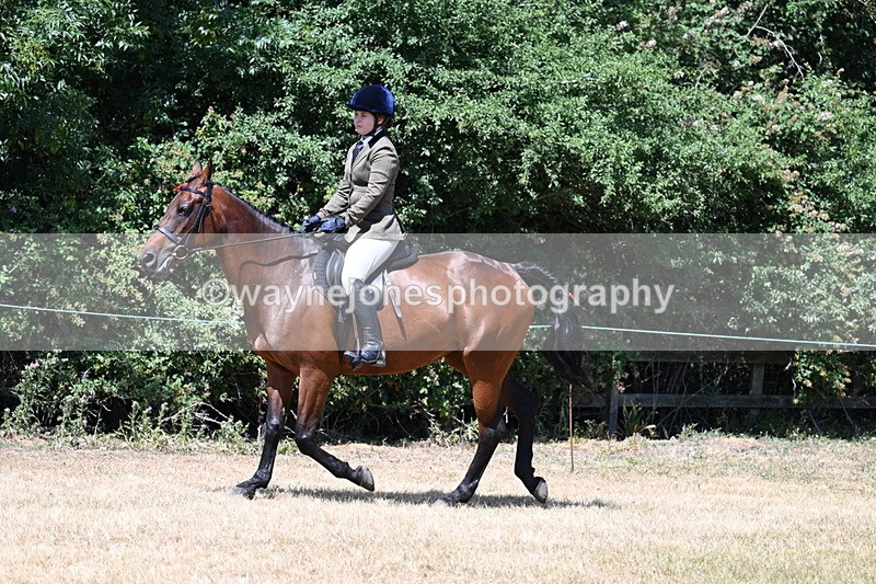 WJ7_2762 - Class 7 Riding Club Show Horse