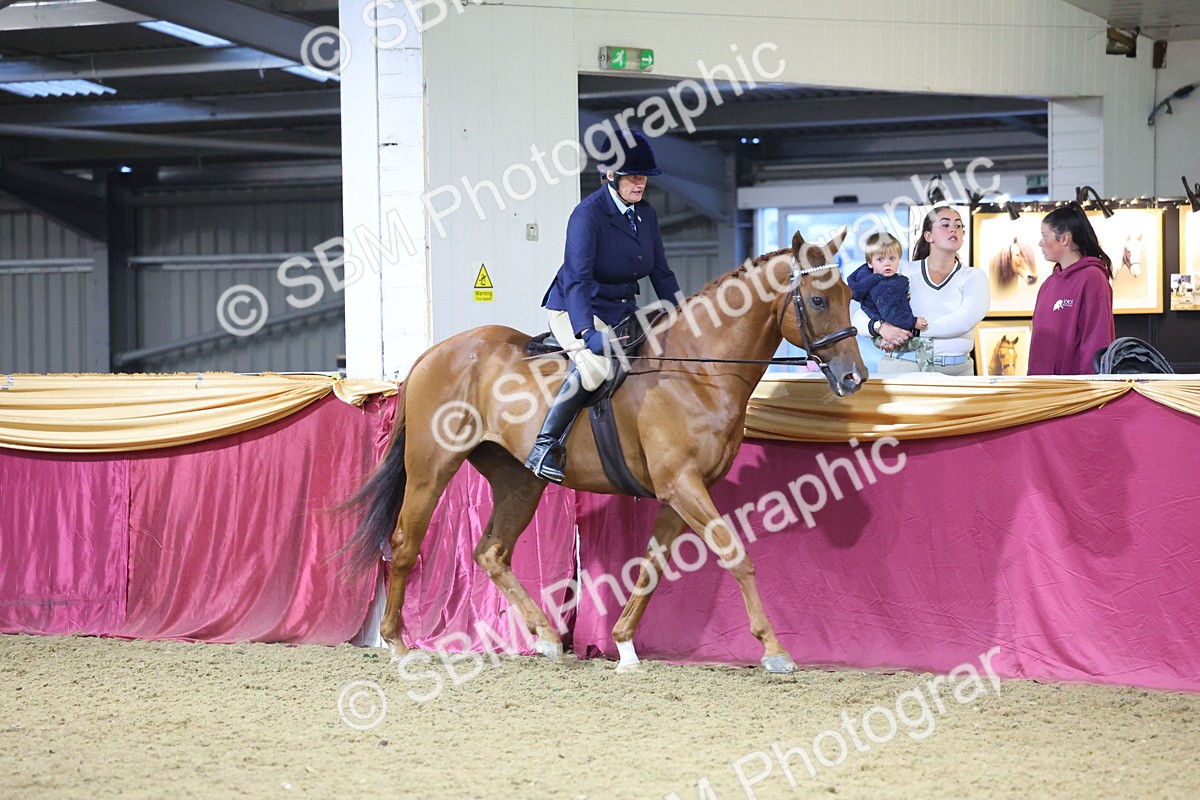 0B8A4275 - Class 108Ridden Retired Racehorse- Final Judging