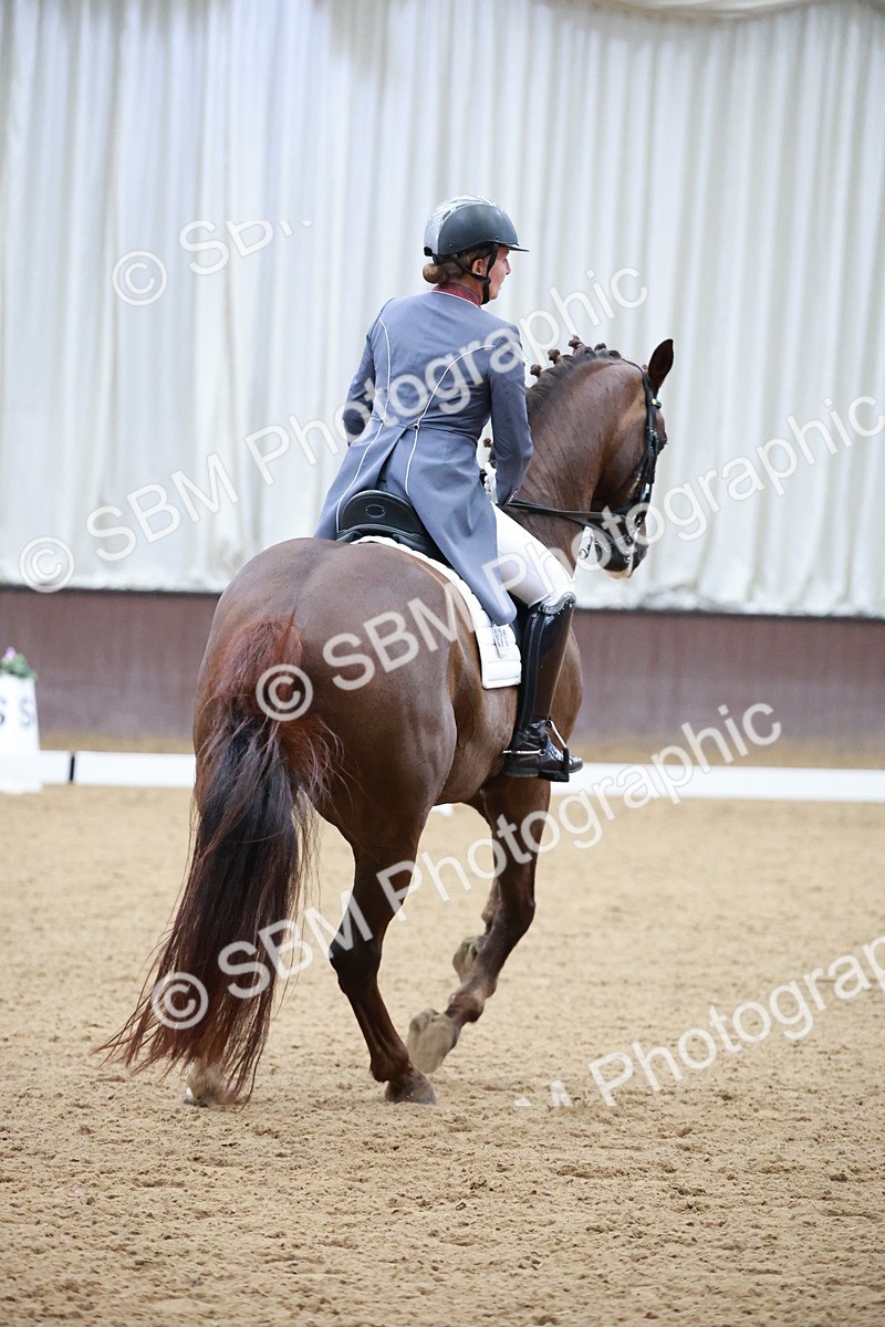 SBM_008787 - Class 14 - FEI PSG - 9.30-10.30