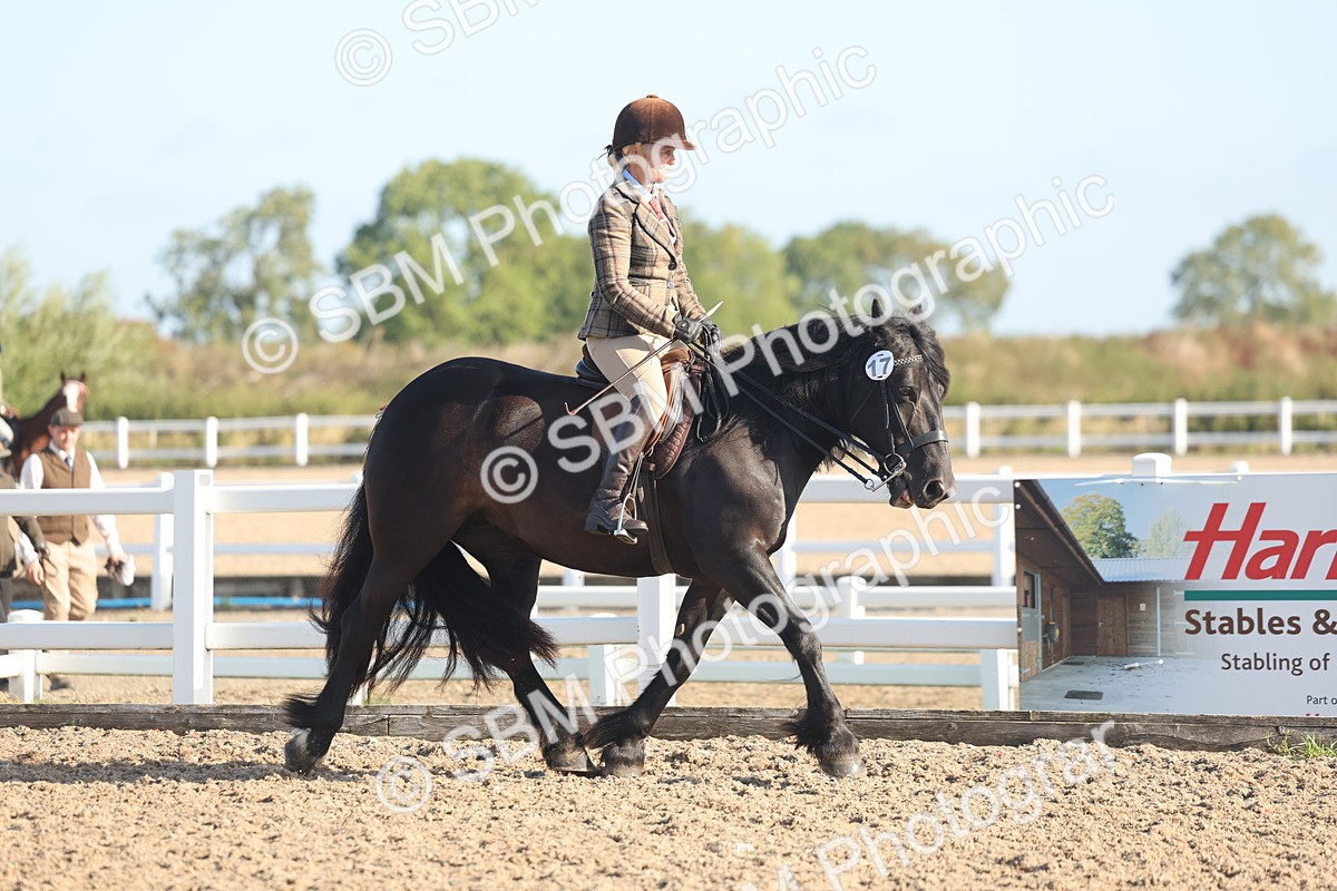 SBM_22112 - Class 801 - Ridden Veterans