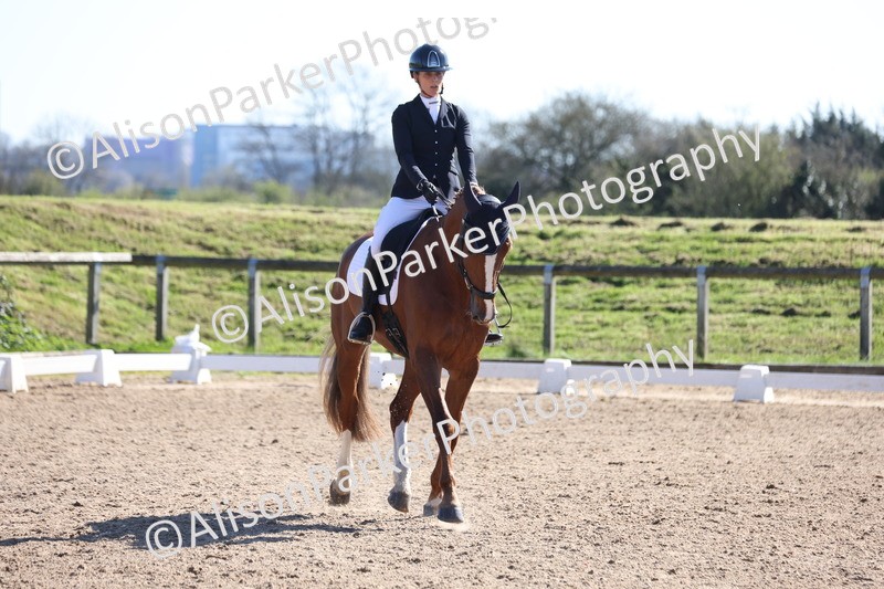 20260318-0528 - Class 5 - Novice 2