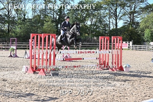 BPP_7577 - CLASS 8 Senior Newcomers/ 1.10m Open