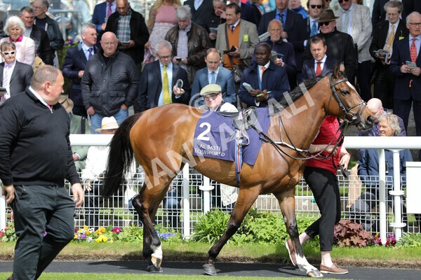 yr12052022r2-3 - Race 2 2.25pm Al Basti Equiworld Dubai Middleton Fillies' Stakes