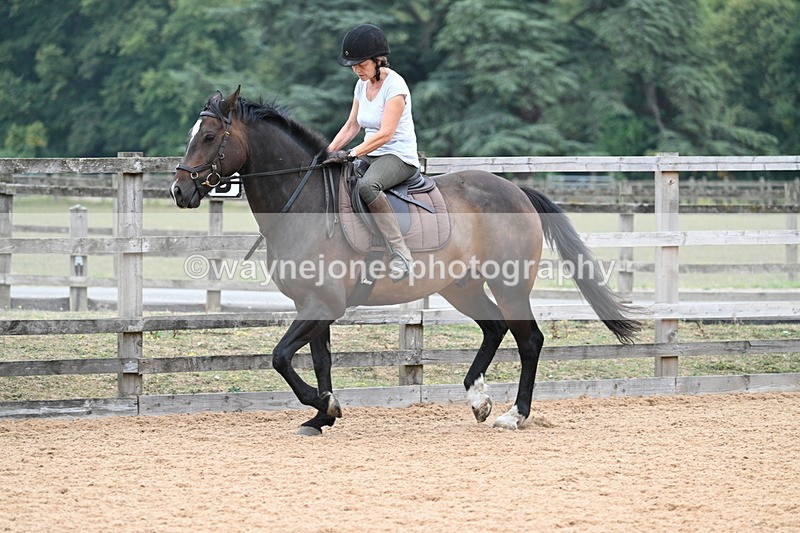 WJ7_9280 - Poles 14:00