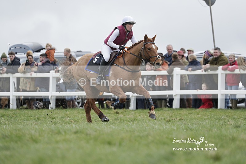 PtP 260323 0268 - New Forest Hounds Point-to-Point Larkhill 26/03/23