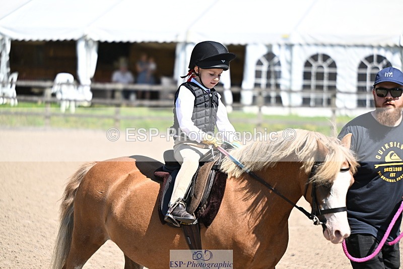 240729B-111646-02286 - Showjumping Competition