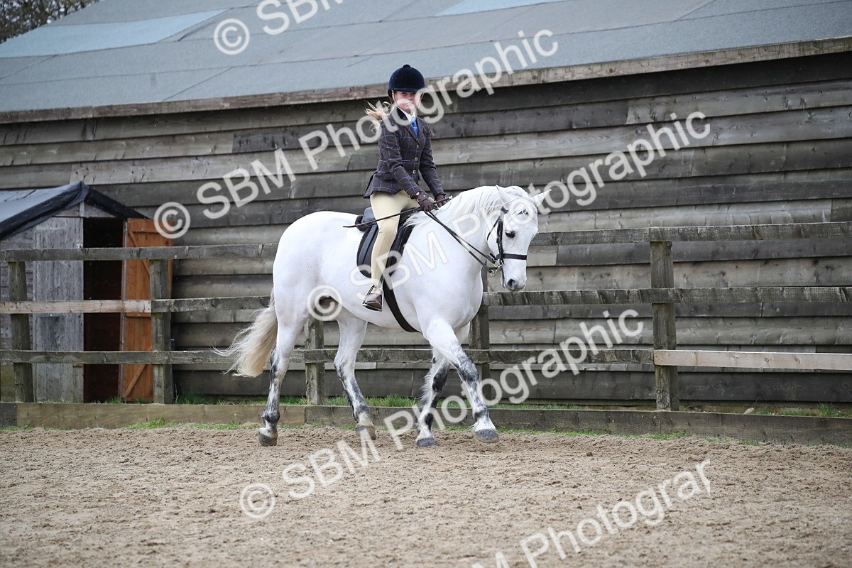 SBM_007338 - Class 10-13 - RIHS Small Large Breeds