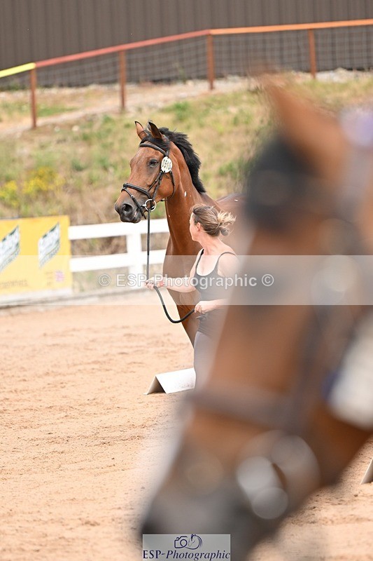 250716-150843-01689 - Trot Up 2.30 to 3.30