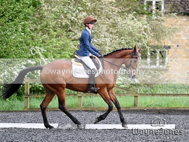 WJ7_1366 - Edited examples
