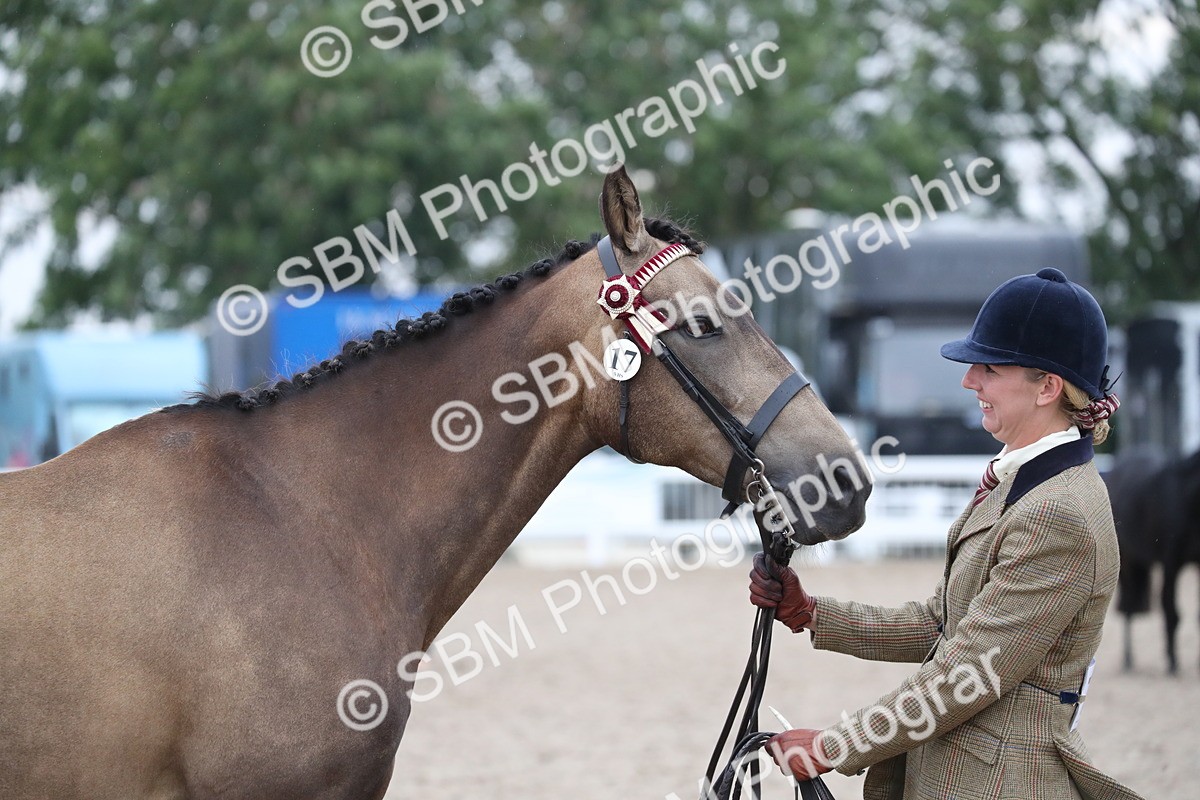 SBM_18402 - Class 318 IH Part bred Horse/Pony